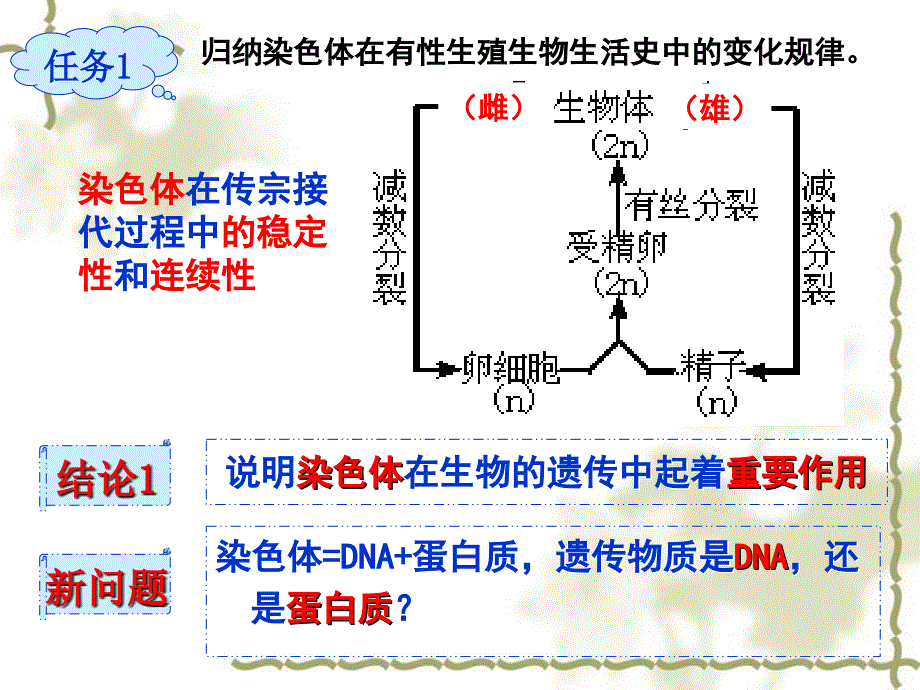 DNA是主要遗传物质1ok_第2页