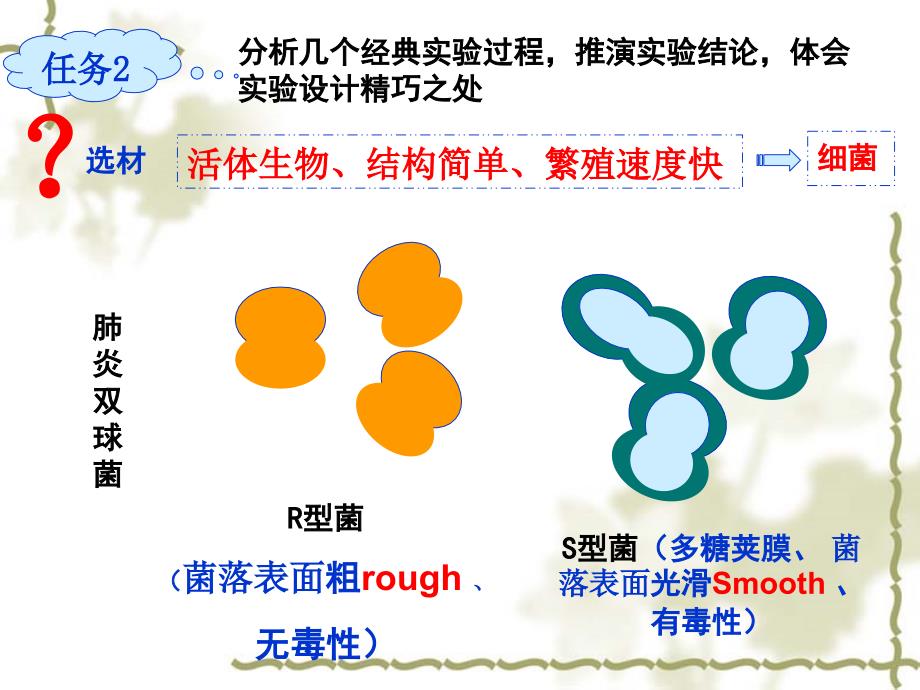 DNA是主要遗传物质1ok_第3页