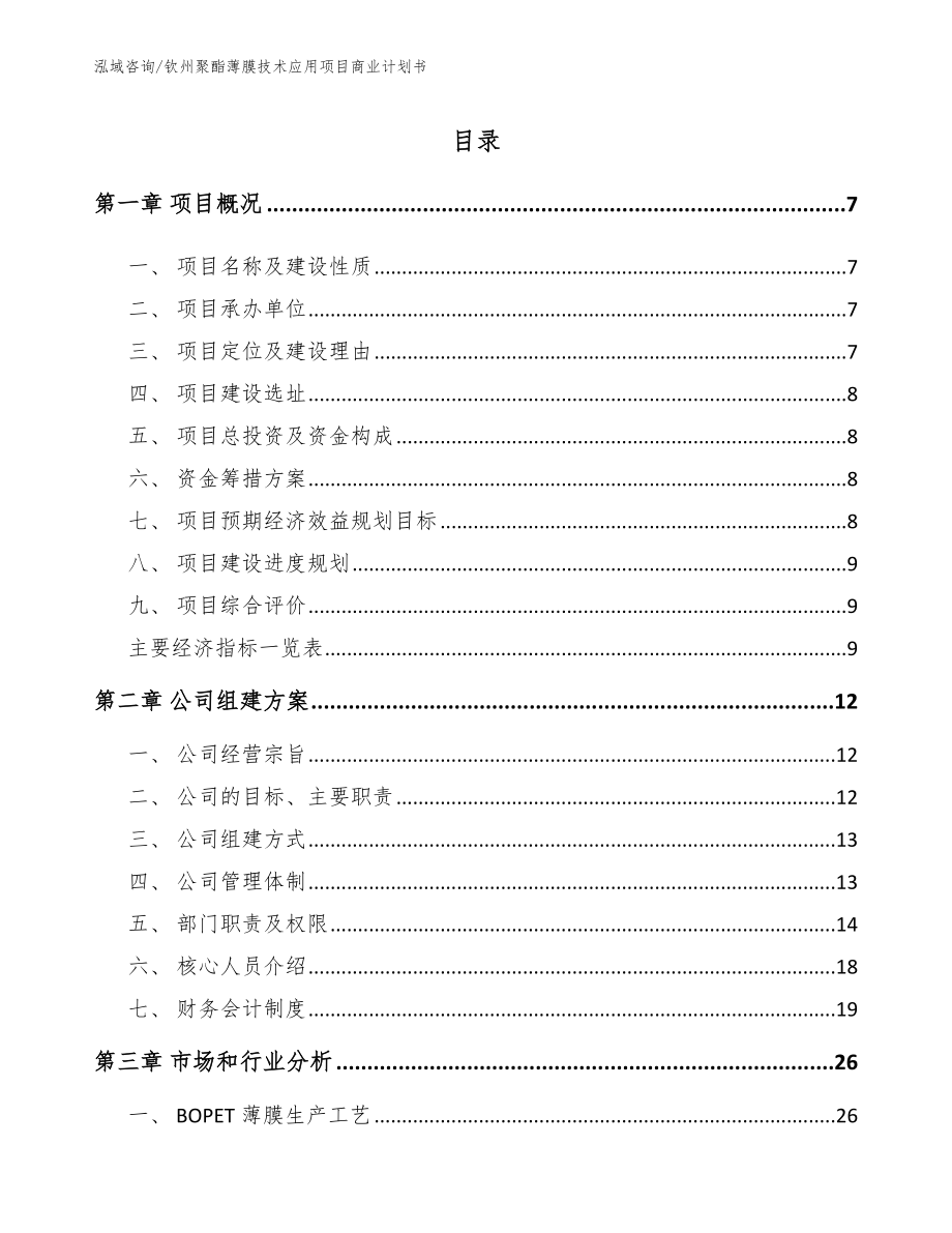 钦州聚酯薄膜技术应用项目商业计划书模板范本_第2页