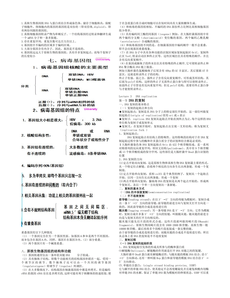 分子生物学课件整理_第4页