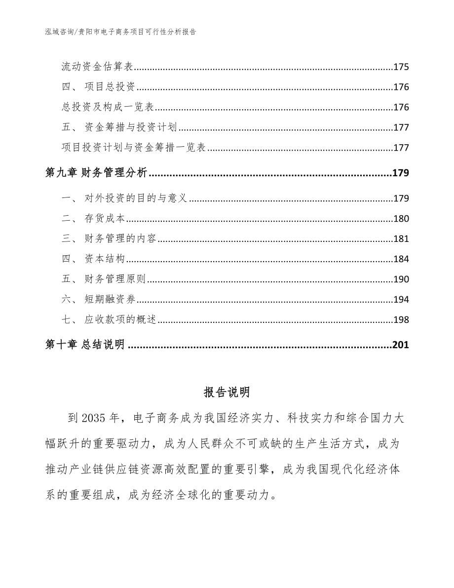 贵阳市电子商务项目可行性分析报告_范文模板_第5页