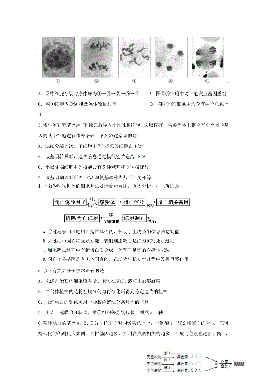 2022年高三第一次月考理综试题 含答案_第2页