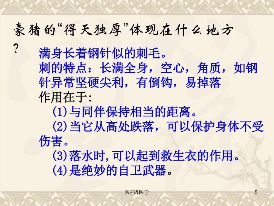 森林中的绅士#课堂课件_第5页