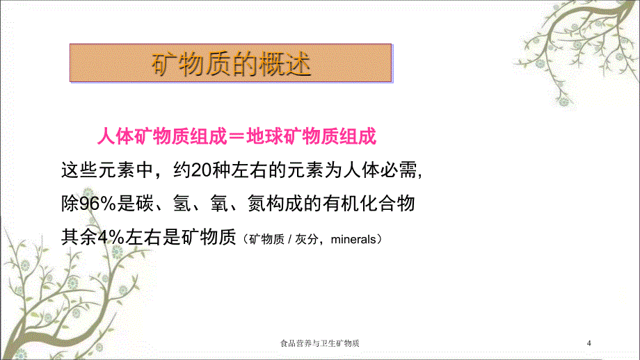 食品营养与卫生矿物质课件_第4页