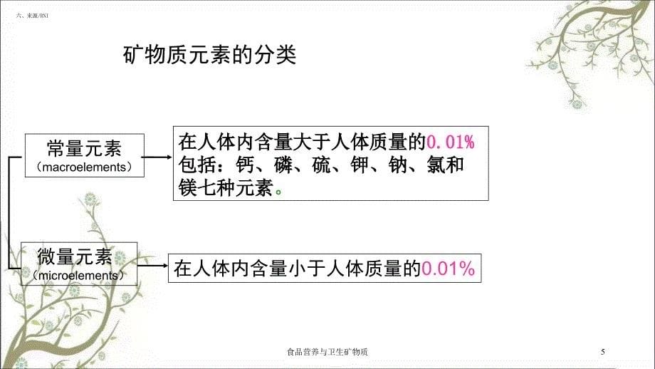 食品营养与卫生矿物质课件_第5页