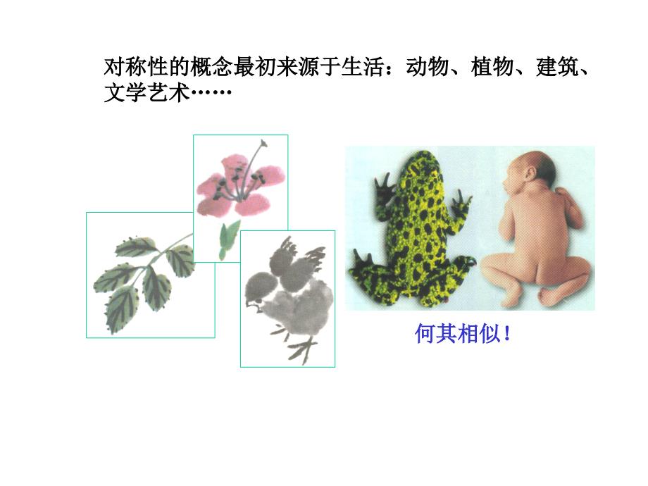 守恒定律和对称性课件_第4页