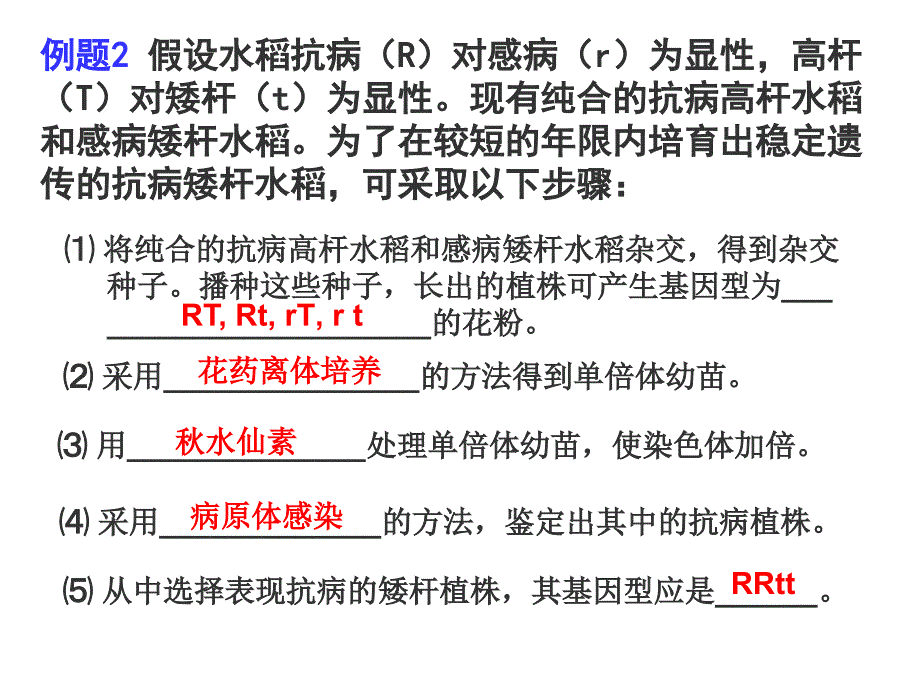 遗传变异在育种上的应用.ppt_第3页