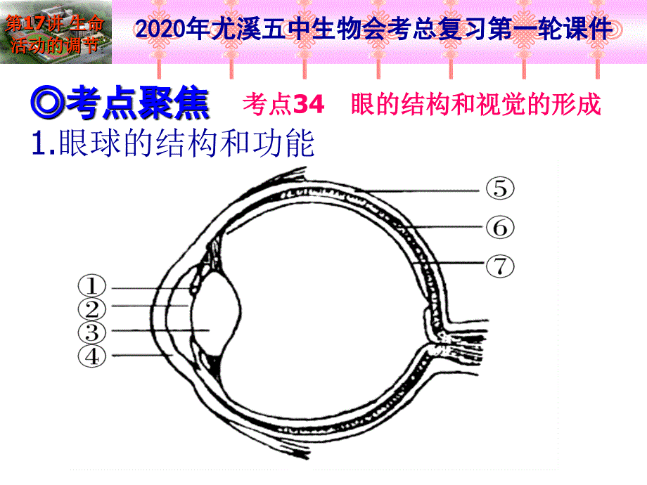 2020年生物总复习第一轮-第17讲-人体生命活动的调节人类活动对生物圈的影响(2课时)课件_第2页