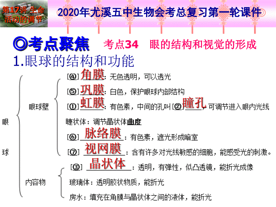 2020年生物总复习第一轮-第17讲-人体生命活动的调节人类活动对生物圈的影响(2课时)课件_第3页