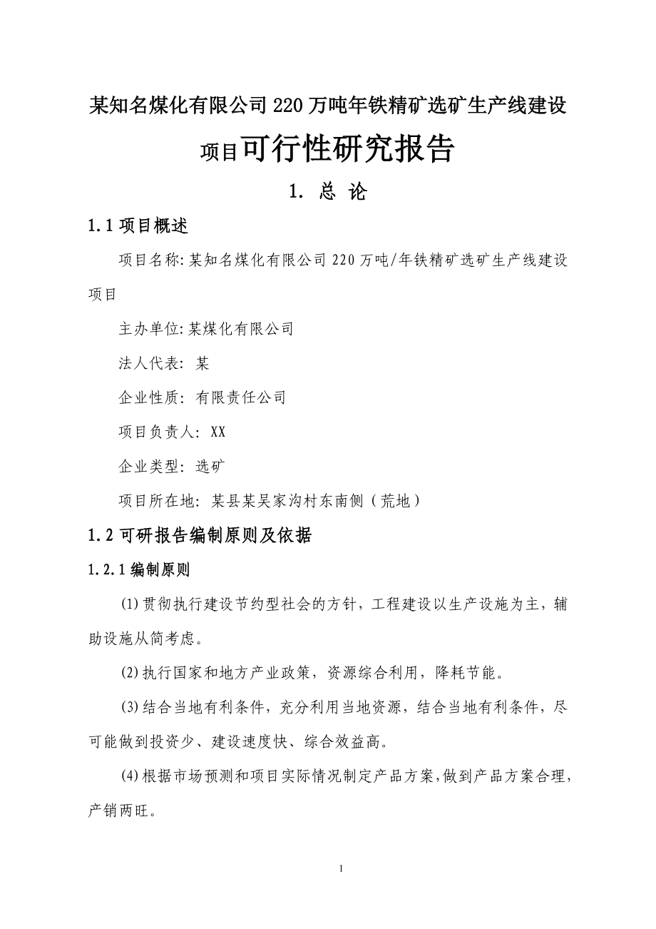 某煤化有限公司220万吨年铁精矿选矿生产线建设项目可行性建议书.doc_第1页