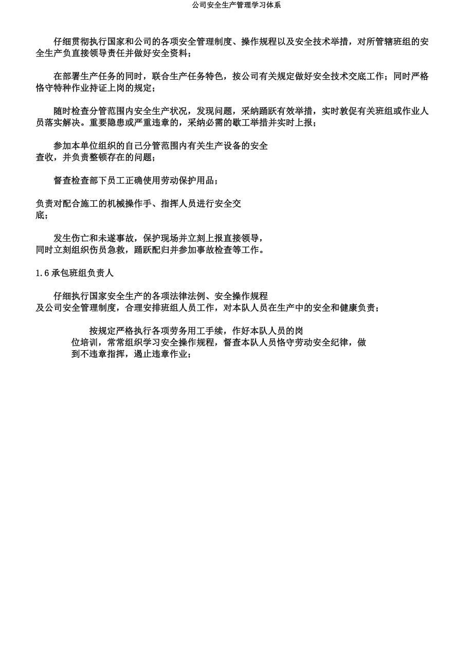 公司安全生产管理学习体系.docx_第5页