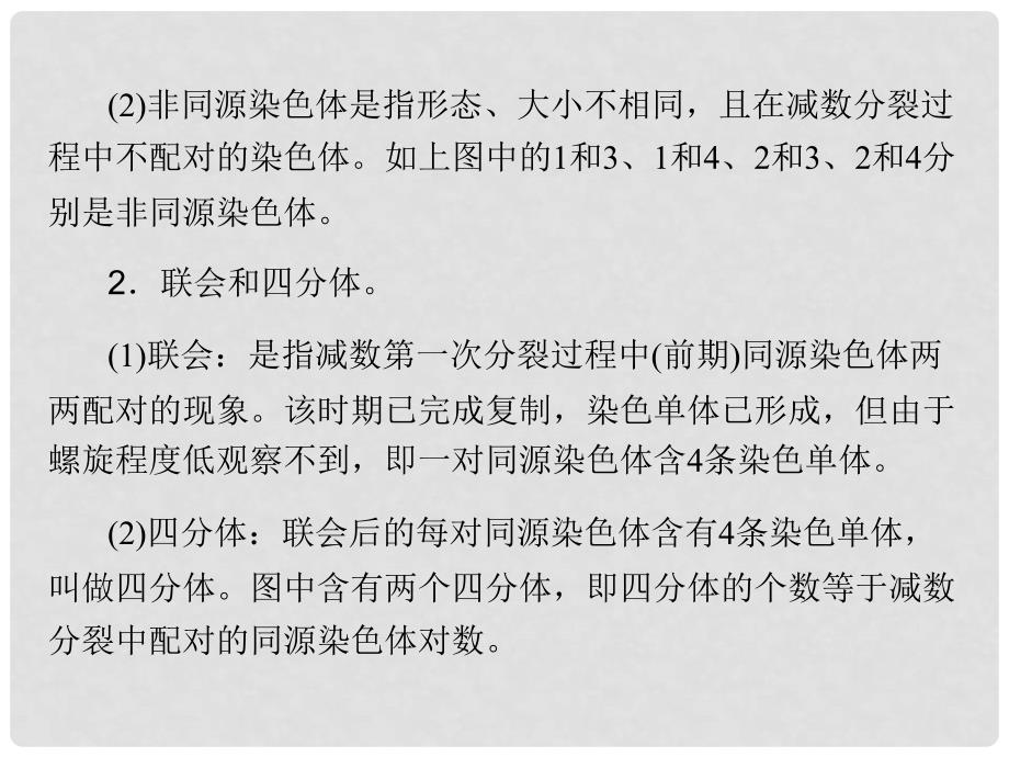 最新高考生物一轮详细复习 减数分裂和受精作用（考点透析+典例跟踪详解+实验导航大题专训）课件 新人教版_第3页