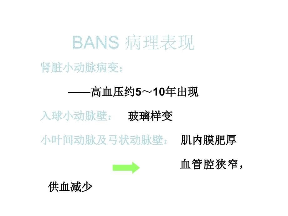 高血压与肾脏病PPT课件_第5页