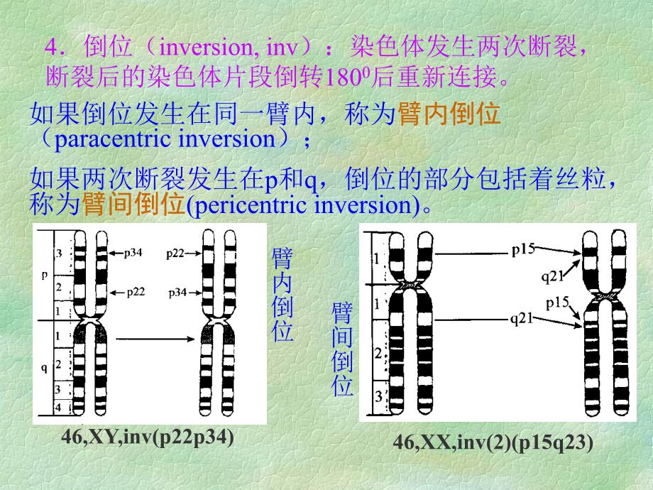 第2章染色体病4_第1页