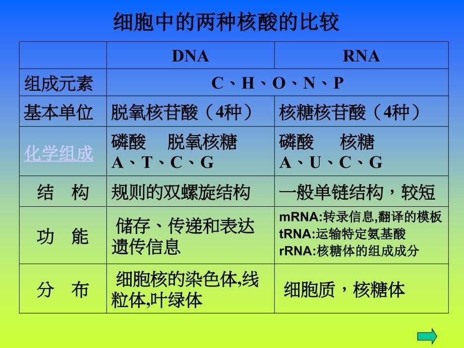 生物：4.1基因指导蛋白质的合成课件1(新人教版必修2)_第5页