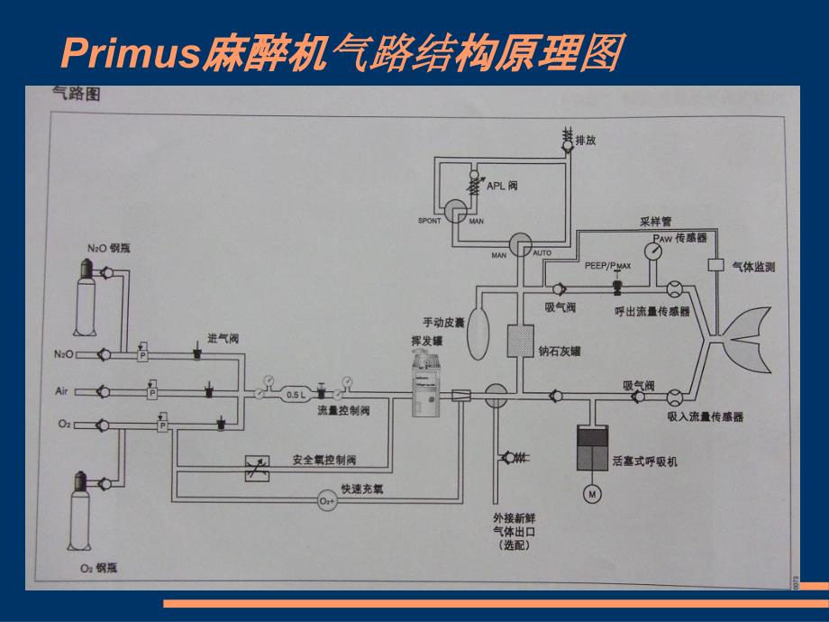 dragerprimus麻醉机ppt课件_第4页