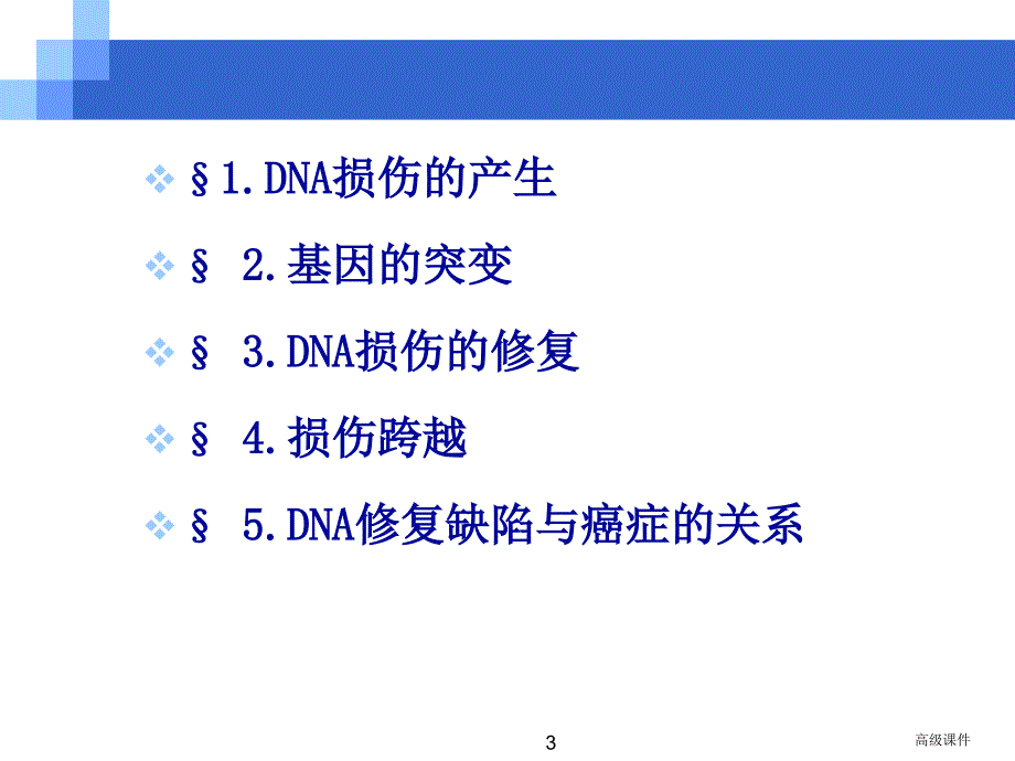 DNA的损伤与修复#高级教育_第3页