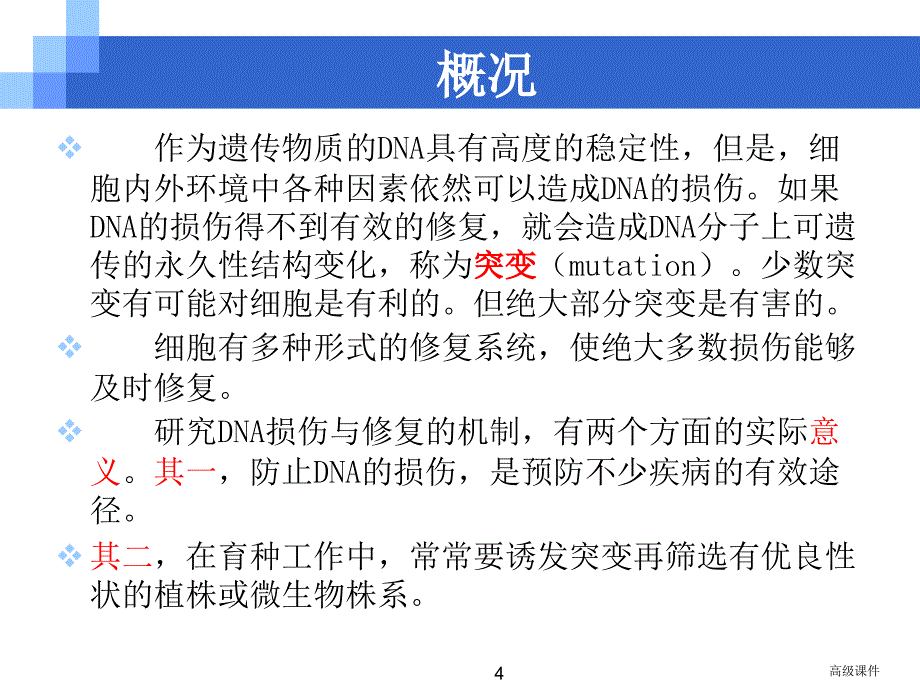 DNA的损伤与修复#高级教育_第4页