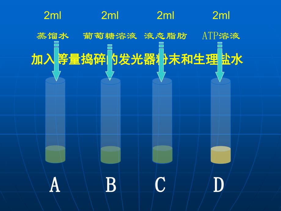 第二节细胞的能量通货ATP_第4页