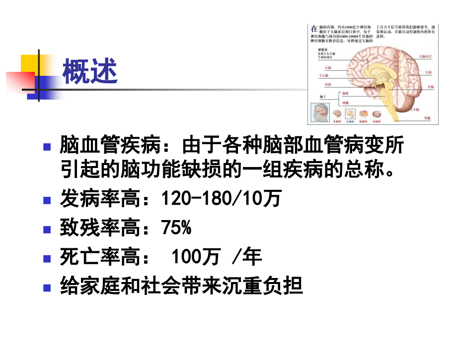 脑血管疾病病人护理PPT课件_第2页