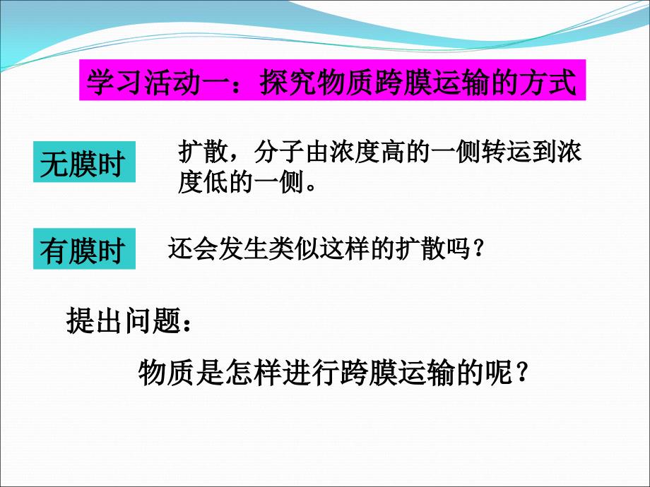 物质跨膜运输的方式定稿_第2页