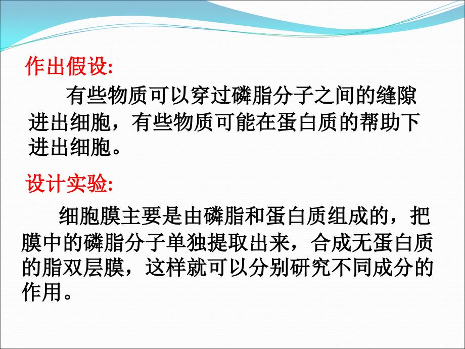 物质跨膜运输的方式定稿_第4页