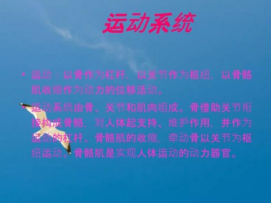 运动与健康ppt课件_第5页