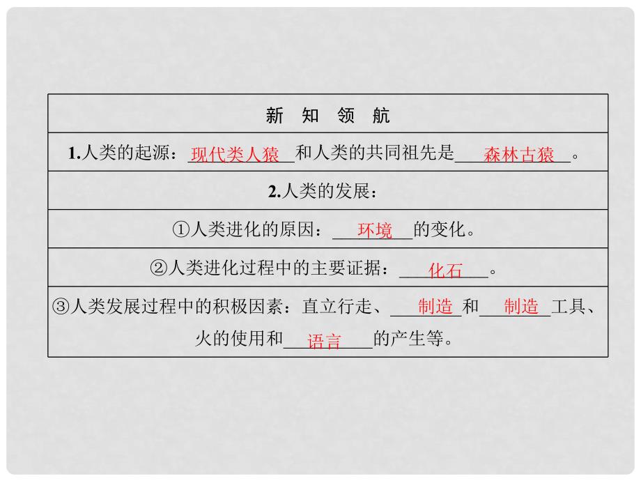 七年级生物下册 1.1 人类的起源和发展课件 （新版）新人教版_第2页