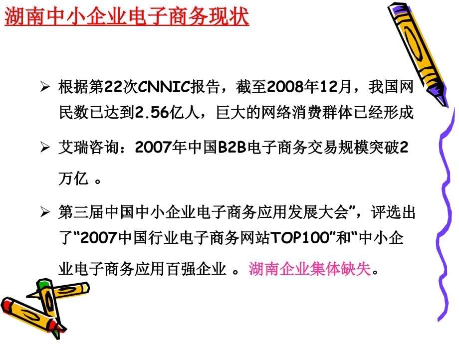 长沙民政电子商务湖南中小企业电子商务现状分析_第5页