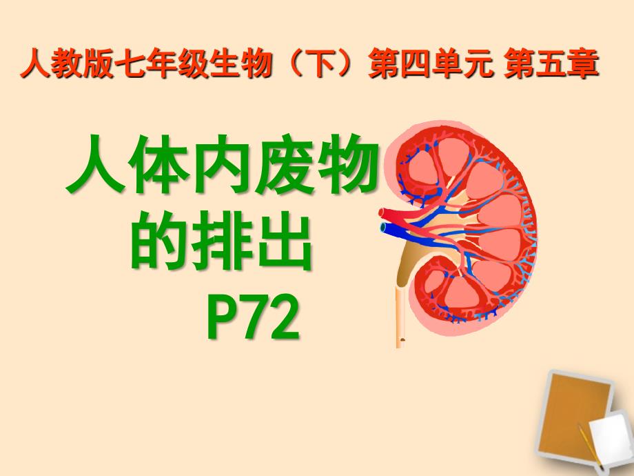 七年级生物下册第五章人体内废物的排出_第1页