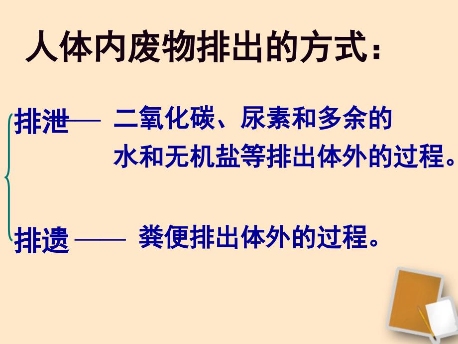 七年级生物下册第五章人体内废物的排出_第3页