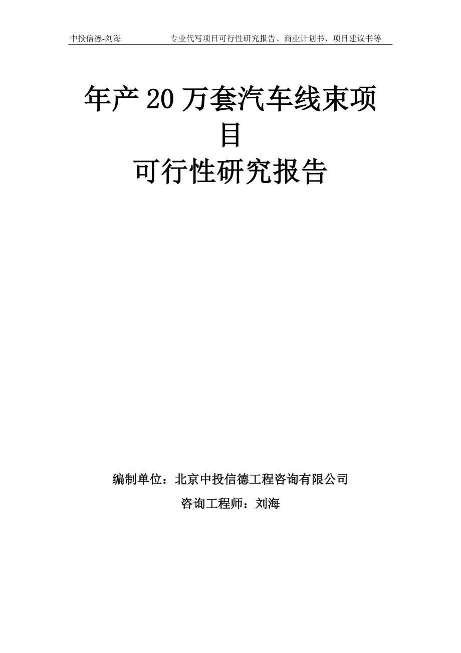 年产20万套汽车线束项目可行性研究报告模板_第1页