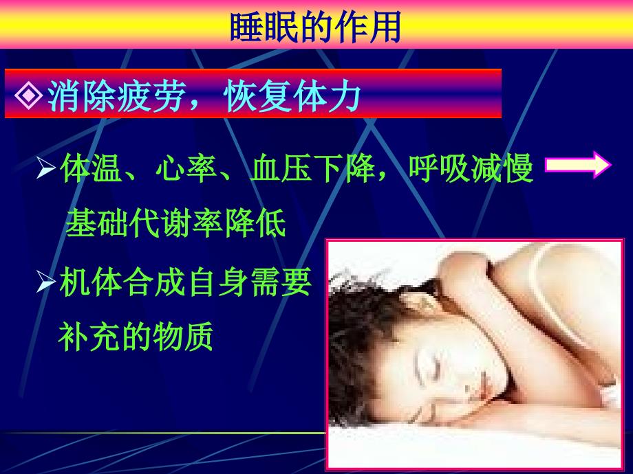 充足睡眠与健康PPT课件_第3页