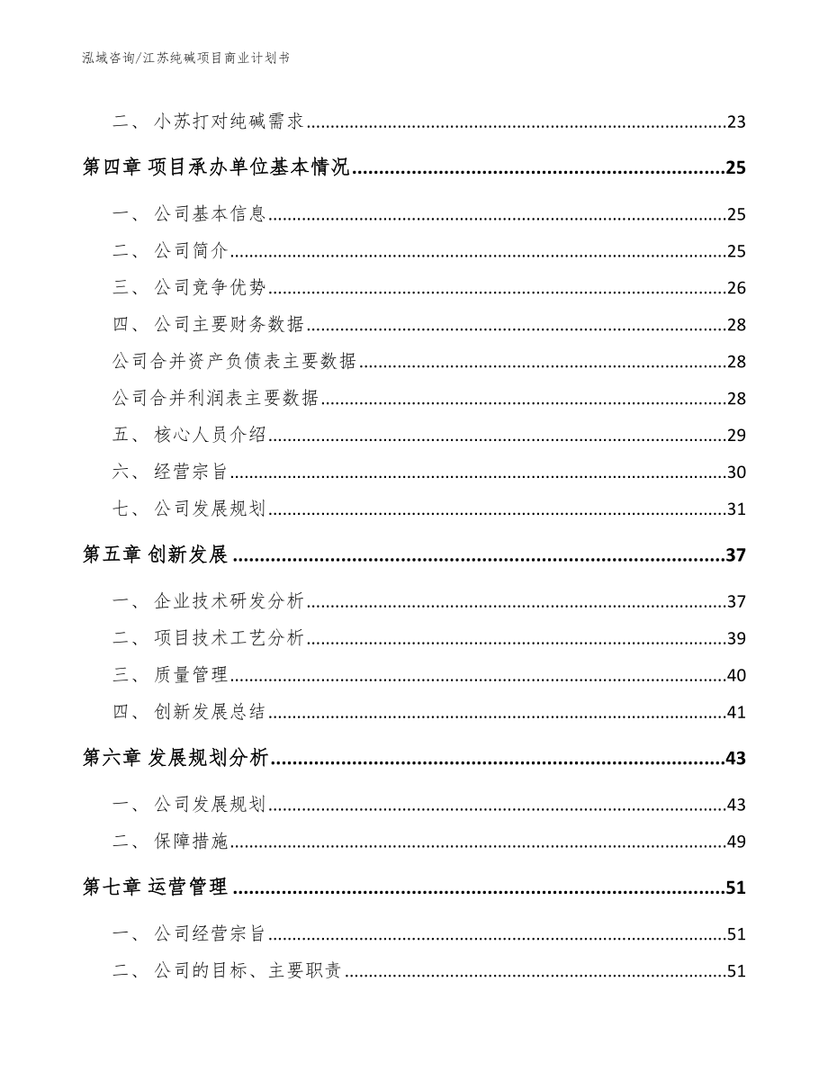 江苏纯碱项目商业计划书参考范文_第3页