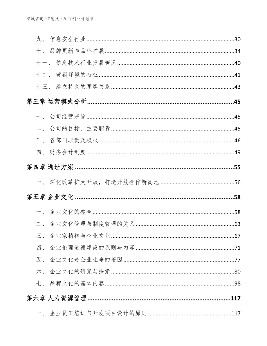 信息技术项目创业计划书_第3页