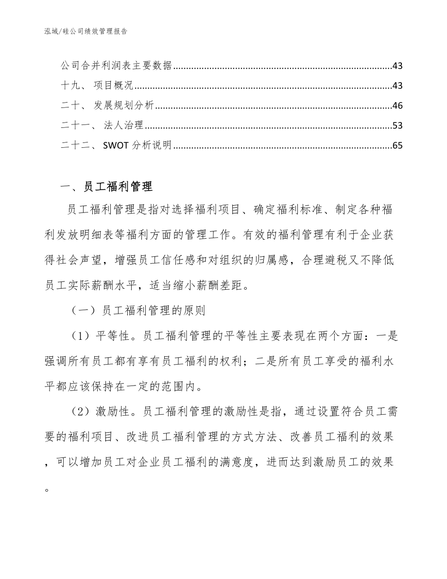 硅公司绩效管理报告_第2页