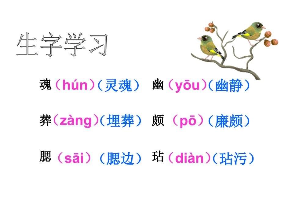 小学五年级上册第六课梅花魂课件_第5页