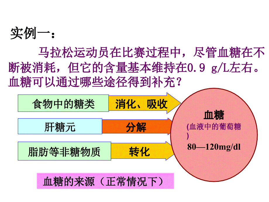 血糖调节与胰高血糖素课件_第4页