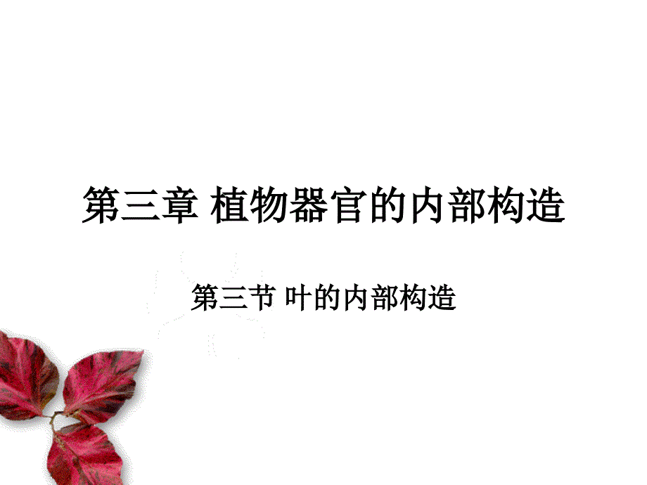 以薄荷叶为例_第1页