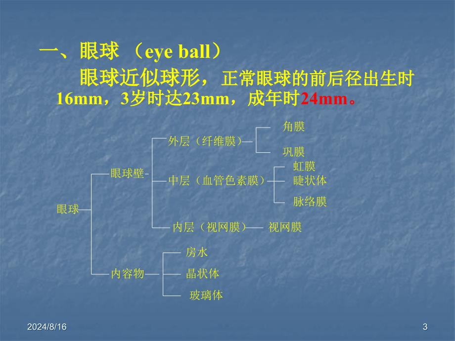 眼科学基础(new)_第3页