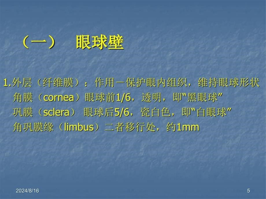 眼科学基础(new)_第5页