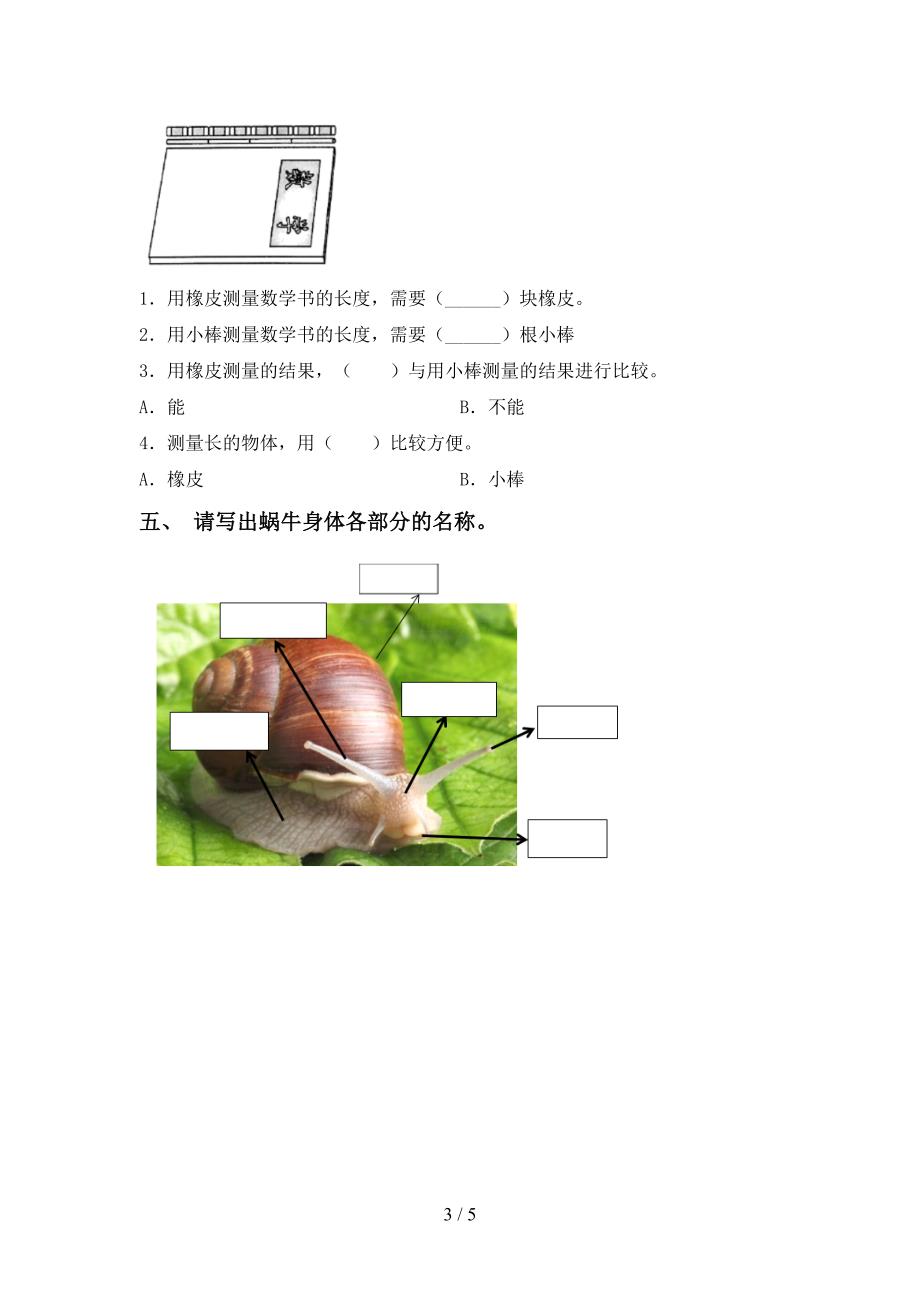 最新教科版一年级科学上册期中考试题及完整答案.doc_第3页