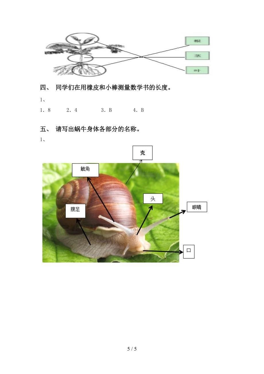 最新教科版一年级科学上册期中考试题及完整答案.doc_第5页