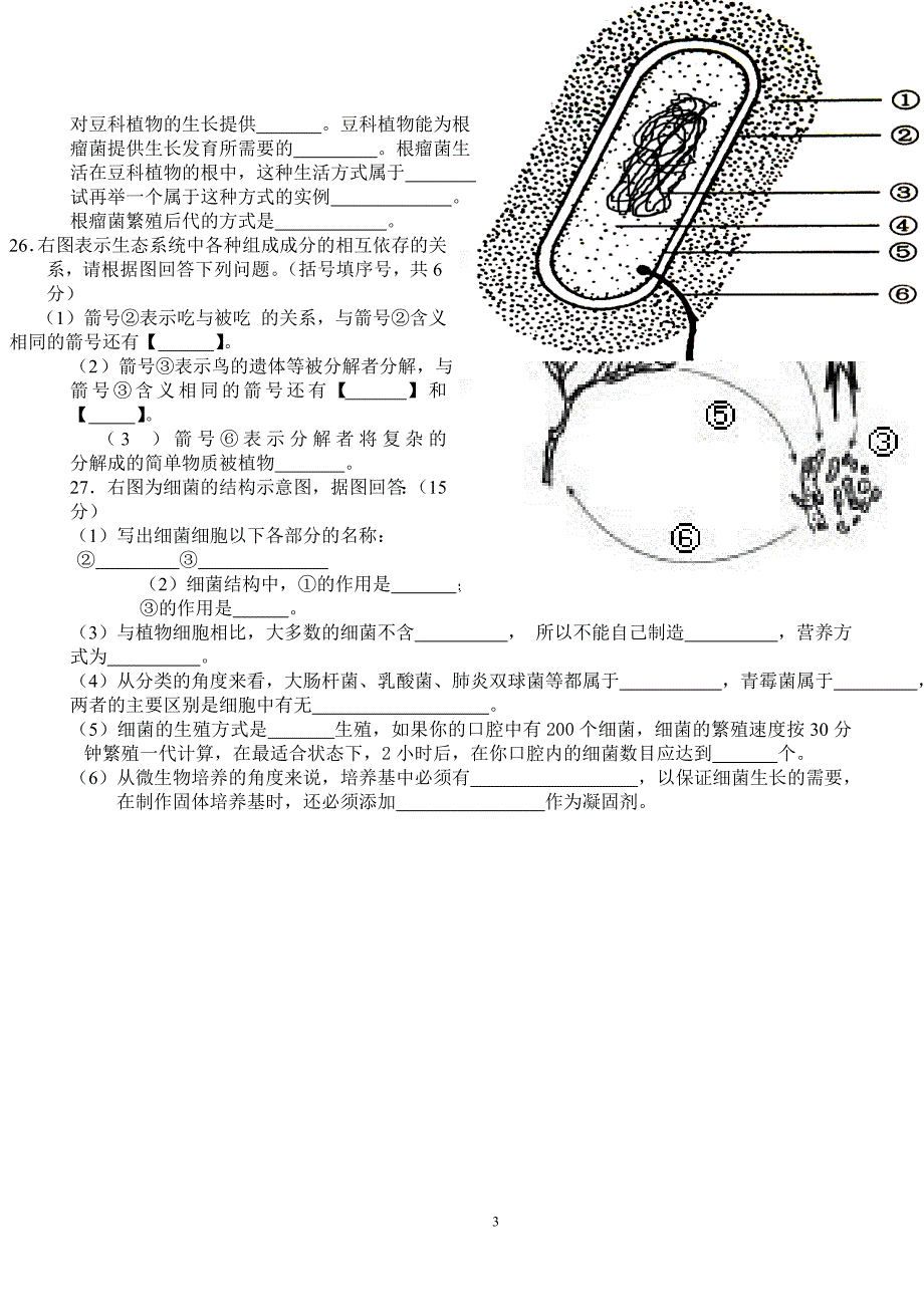 细菌真菌典型试题.doc_第3页