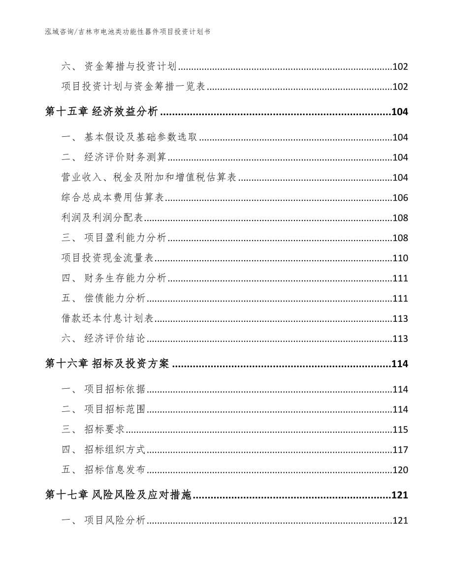 吉林市电池类功能性器件项目投资计划书_第5页