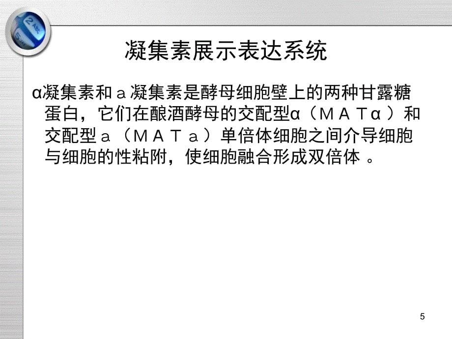 酿酒酵母表面展示表达系统及应用PPT课件_第5页