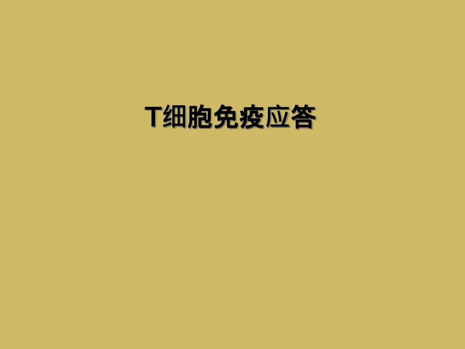 T细胞免疫应答课件_第1页