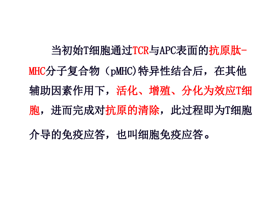 T细胞免疫应答课件_第3页