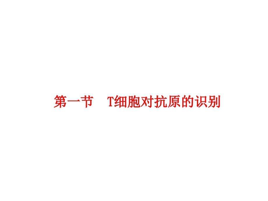 T细胞免疫应答课件_第5页