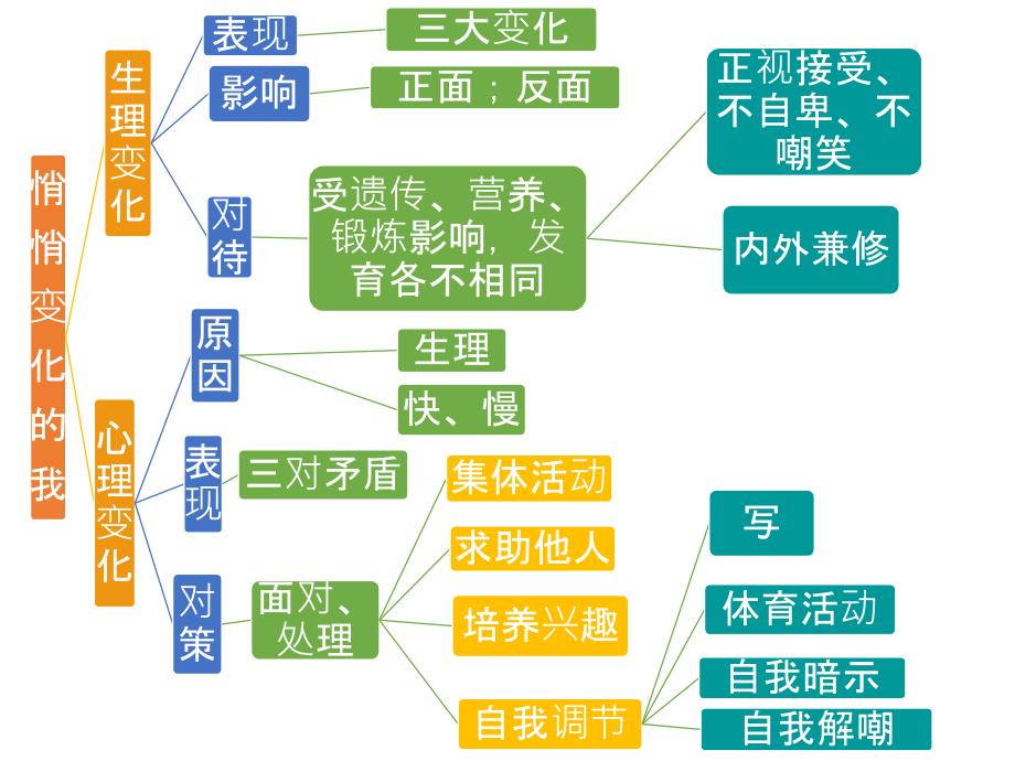 第一单元思维导图11_第2页